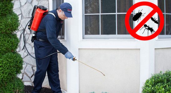 Köprübaşı Dezenfeksiyon böcek ilaçlama ve haşere kontrolü — ilaclama-tr.com